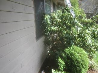 seattle home inspection